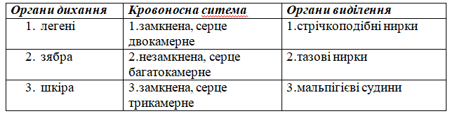 0201no95-fcec-641x166.png