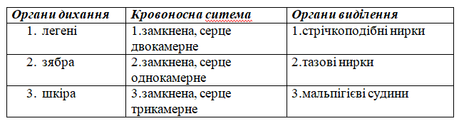 0201noyk-8303-644x177.png