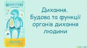 Дихальна система. 3 клас.