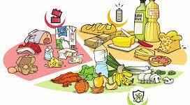 Le repas. La nourriture