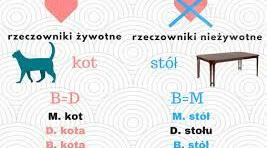 Rzeczowniki żywotne i niezywotne. Odmiana rzeczowników rodzaju nijakiego w liczbie pojedynczej.