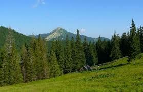 Полонина Блажів, Надвірнянський — фото, опис, адреса