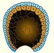0201nreg-7f51-178x174.png