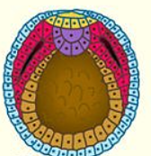 0201nrek-0792-168x173.png